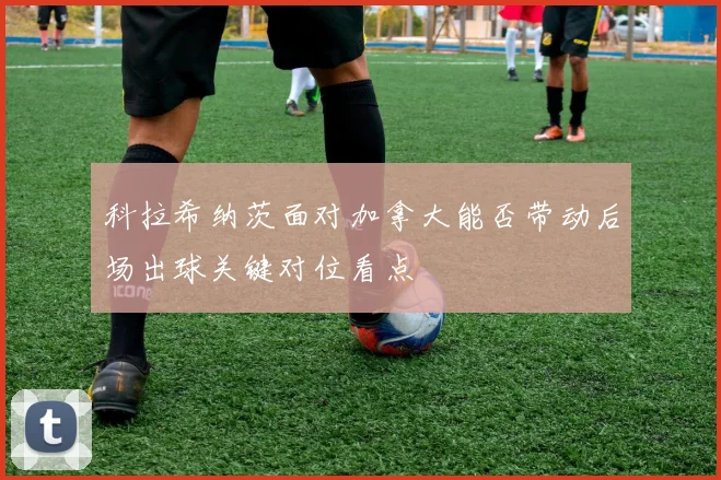 科拉希纳茨面对加拿大能否带动后场出球关键对位看点
