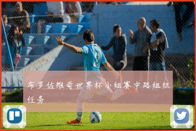 布罗佐维奇世界杯小组赛中路组织任务