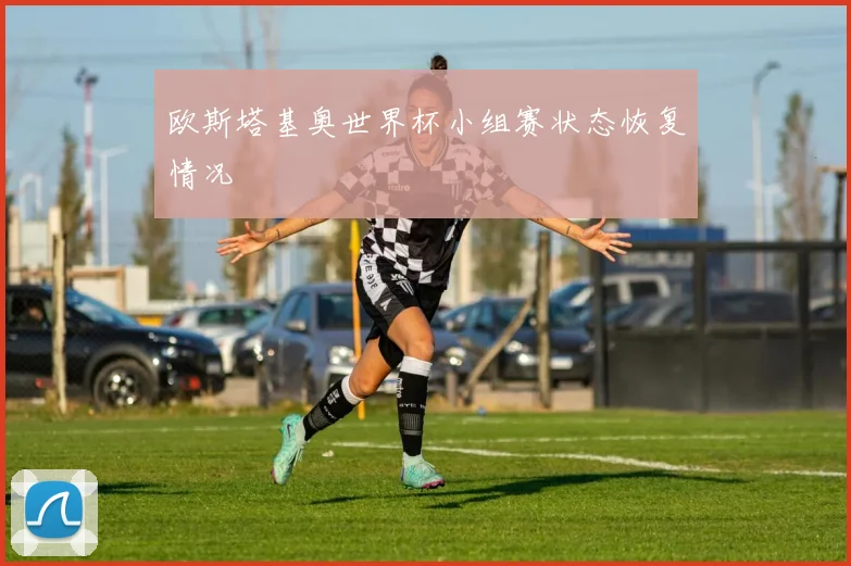 欧斯塔基奥世界杯小组赛状态恢复情况